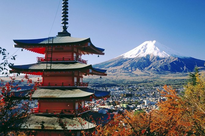 Private Transport Mt Fuji and Hakone 1 Day Trip - Meeting and Pickup Information