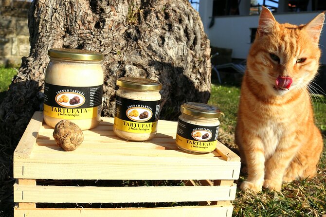 Private Truffle Hunting in Slovenia With Meal - Zdenko Tartufi - Transportation and Accessibility