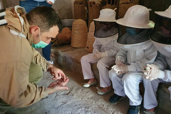 Private Visit to the Bees and Tasting in Ventosa, La Rioja - Accessibility and Participation