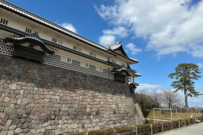 Private Walking Tour in Kanazawa With Local Guides - Reviews