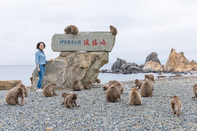 Private West IZU Uncovered Tour Cave Cruise and Monkey Encounter - Cruising Through Captivating Caves