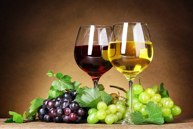Private Wine Tour of Stobi Winery From Skopje - Gourmet Snacks and Starter Option