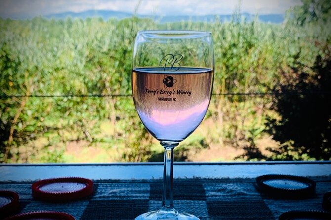 Private Wine Tour With Dine in Black Mountain From Asheville - Booking Your Private Wine Tour