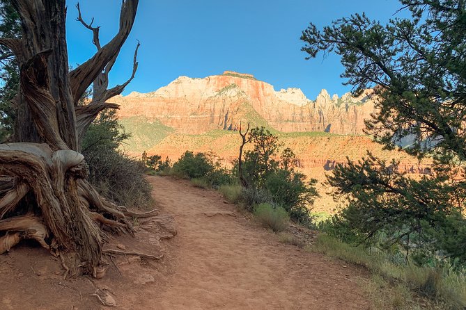 Private Zion Canyon National Park Day Tour From Las Vegas - Pickup Locations