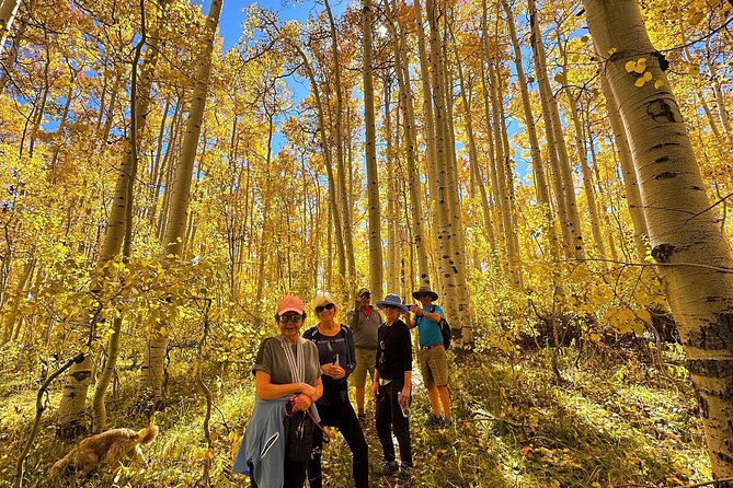 Privately Guided Scenic Mountain Hike - Inclusions and Pricing