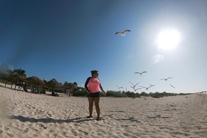 Progreso Port, Aguas Rosas, and Cenote. - Discovering the Cenote
