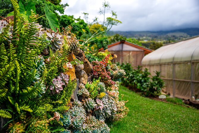 Pueo Farm Tour in Upcountry Kula Maui Hawaii - Meeting and Pickup