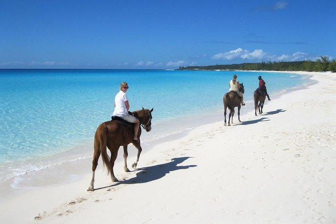 Puerto Plata: Sunset Beach Horseback Riding - Tips for Your Adventure