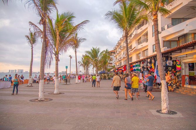 Puerto Vallarta Private Art Tour - Whats Included in the Tour