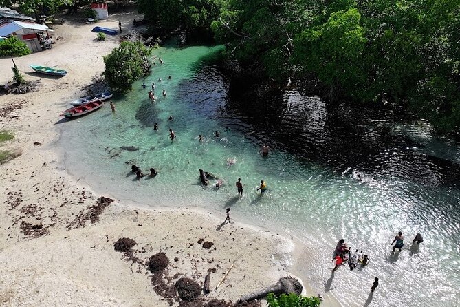 Punta Cana :Safari Samana Panoramic City Tour+Rincon W/Transport - Pickup Locations and Details
