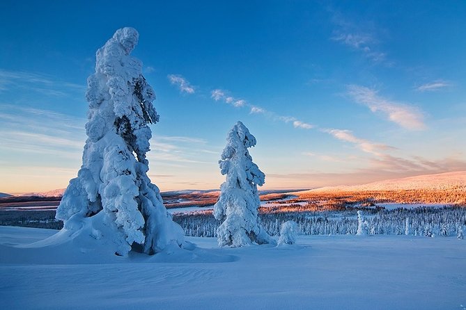 Pyhä-Luosto National Park and Amethyst Mine by Car From Inari-Saariselkä - Tour Itinerary and Schedule