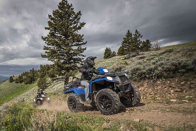 Quad Bike Safari in the Wilderness (ATV) - Participation Requirements