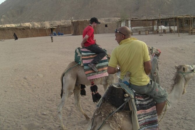 Quad Biking in Sharm El Sheikh Desert, Party, Dinner - Customer Experiences