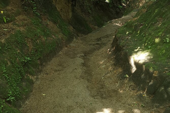 Quimixto & Los Arcos Adventure Tour - Inclusions and Amenities