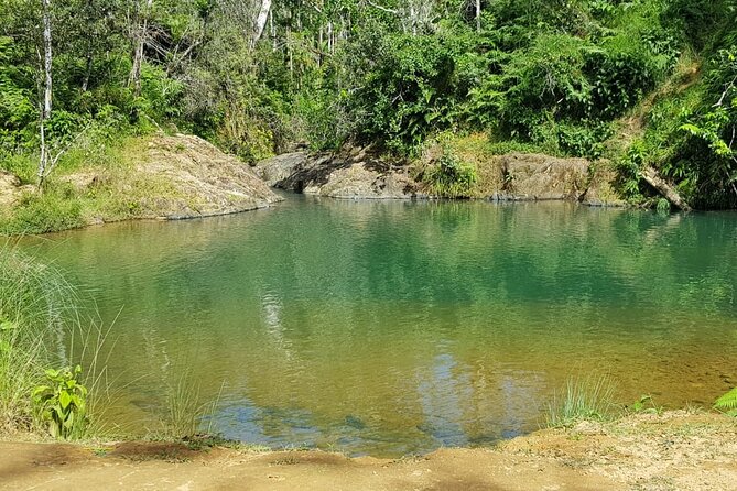 Rain Forest and Hot Springs Full-Day Private Tour San Juan - Tour Inclusions and Amenities