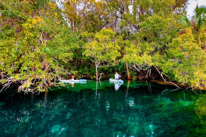 Rainbow Springs Paddle Board Adventure Review - Participant Requirements and Restrictions