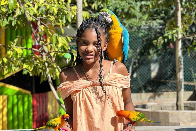 Rastafari Cultural Experience With Herb Garden & Animal Farm Tour - Encounter With the Animal Farm