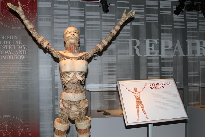 Real Bodies at Horseshoe Las Vegas - Visitor Experience and Reviews