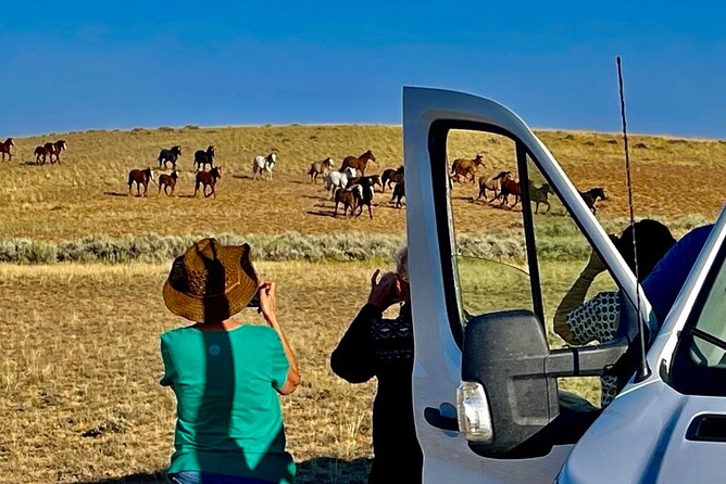 Red Canyon Small Group Wild Mustang Van Tours in Cody Wyoming - Wildlife Viewing Experience