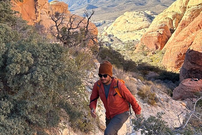 Red Rock Canyon Hiking Adventure Review - Health and Fitness Requirements