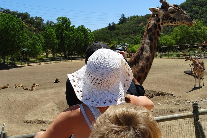 Redwoods and Wild Safari Adventure Review - Pickup and Meeting Details