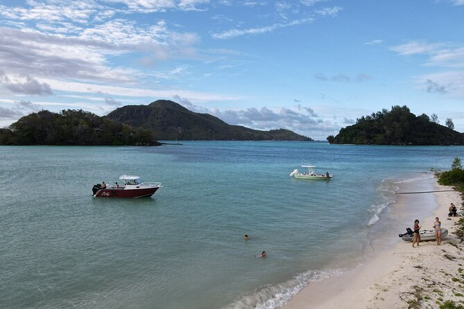 Reef Safari - Snorkeling, Fish Feeding & Lunch (Private Day Trip) - Fish Feeding Activities