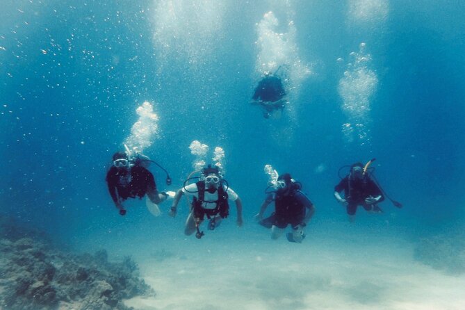 Refresher Scuba Dive - Meeting and Pickup Details