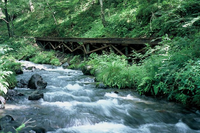 Relax and Refresh in Karuizawa Forest! Shinanoji Down Trekking Around Two People - Capturing Memorable Moments Through Photography