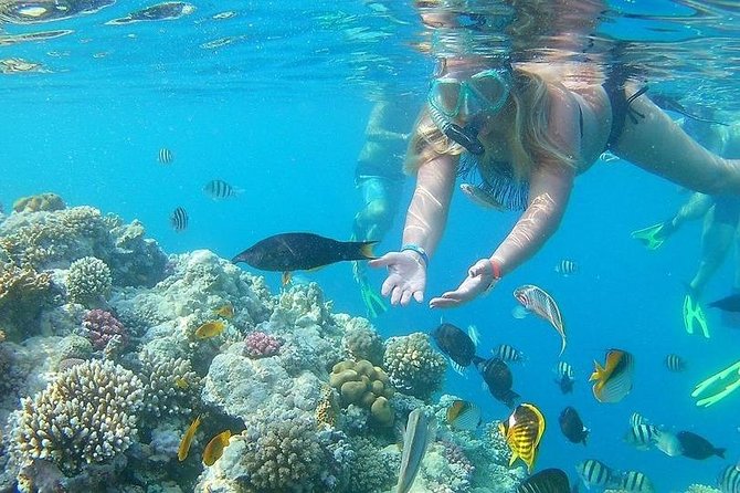 Relaxing Day Tour To Red Sea At Ain El Sokhna From Cairo - Frequently Asked Questions