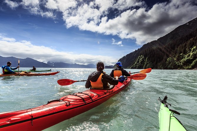 Resurrection Bay Kayaking Adventure - Gear and Safety Considerations