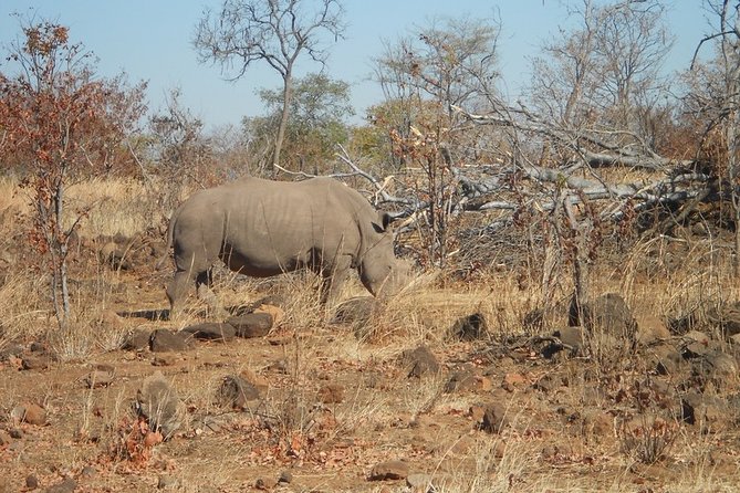 Rhino Walking Safari at Mosi-oa-Tunya National Park - Safety Measures in the Park