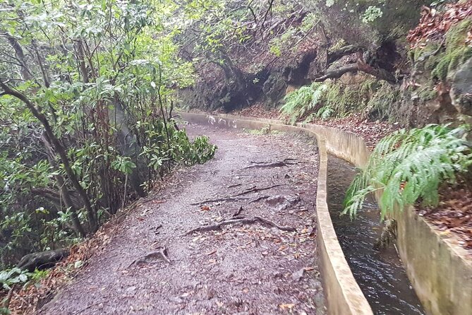 Ribeiro Frio - Portela (Full Day Walk) - Inclusions and Amenities