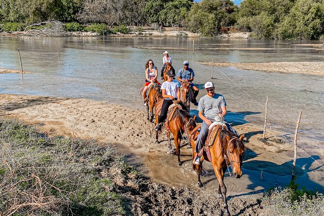 River Trail Horseback Riding Adventure - Participant Requirements