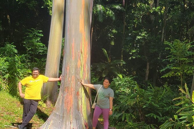 Road to Hana Full Day Tour Review - Health and Accessibility Information
