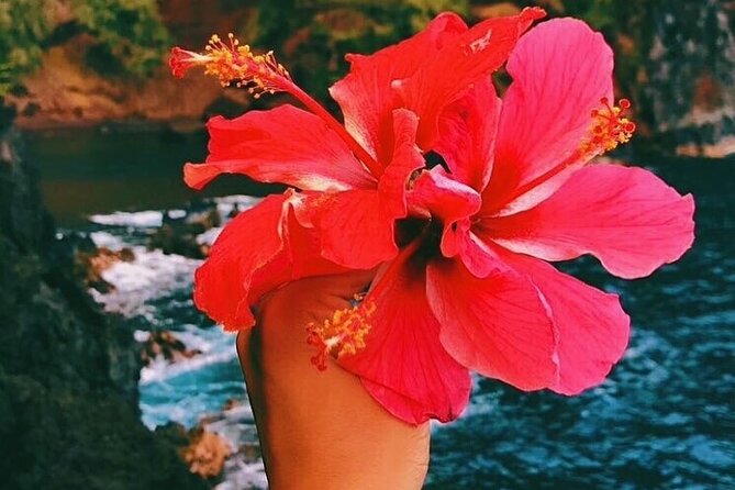 Road to Hana Tour With GO PRO Review - Accessibility and Booking