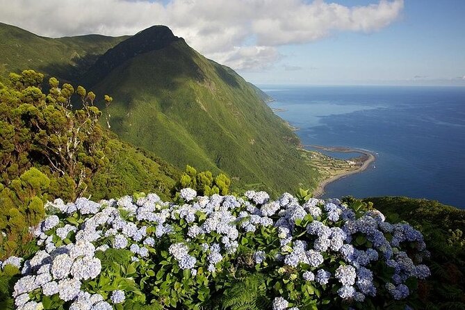 Rodman Motor Yacht Tour of Faial, Pico and São Jorge Islands - Visiting Pico Island