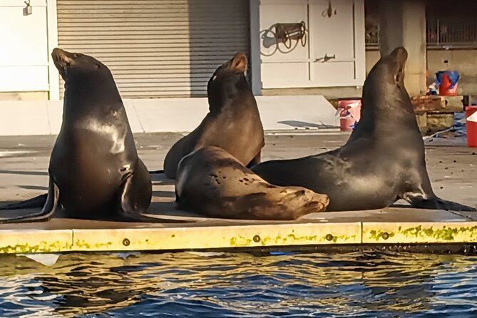 Romantic Luxury Boat Cruise With Wine Cheese Sea Liontours - Additional Services and Policies
