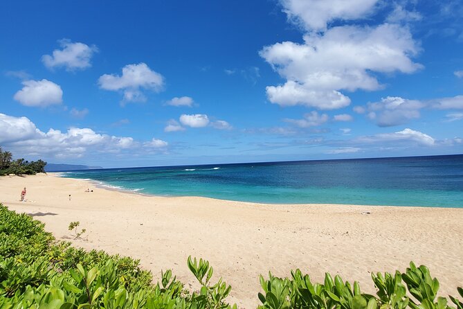 Round Trip North Shore Shuttle From Waikiki to Haleiwa Town / Haleiwa Harbor - Customer Reviews and Ratings