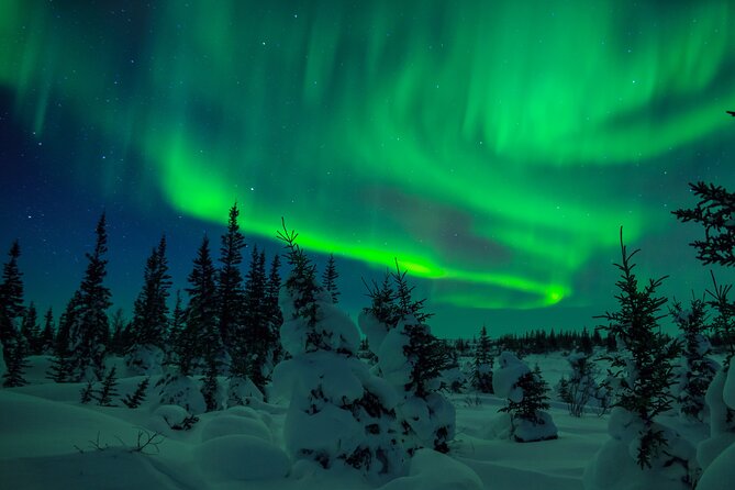 Rovaniemi: Private Aurora Hunting Tour - Health and Safety Tips