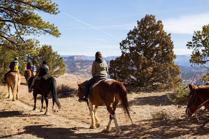 Rubys Horseback Adventures Utah 1.5 Hour Ride - Meeting Point and Tour Logistics