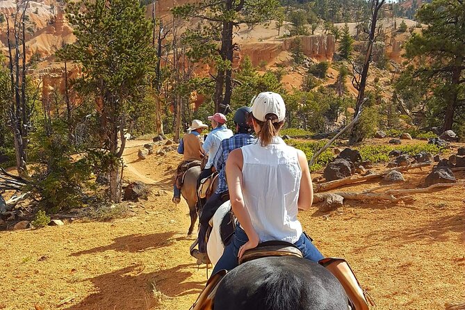 Rubys Horseback Adventures Utah Thunder Mt. 4 Hour Ride - Knowledgeable and Friendly Guides