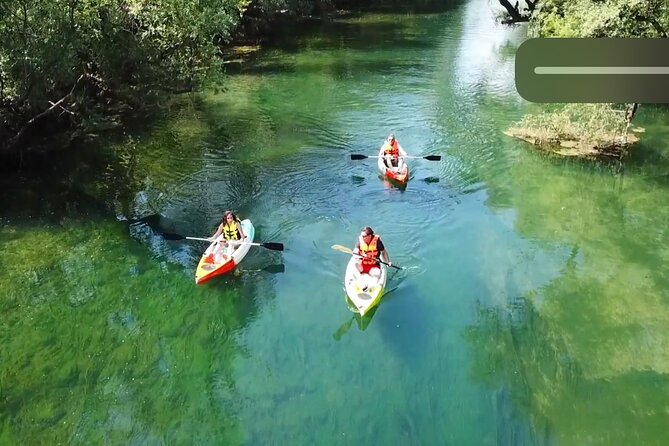 Safari Kayak Adventure W BBQ & Beer - Adventure Details