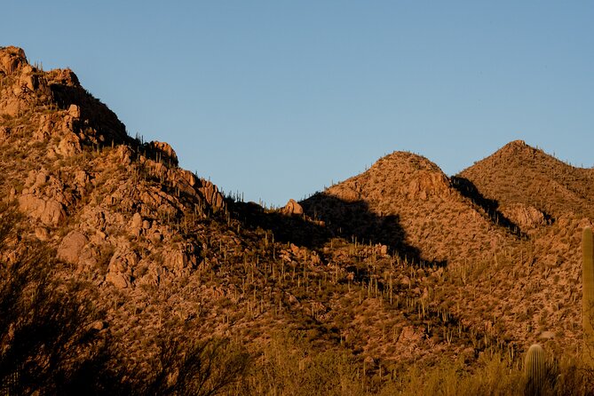 Saguaro National Park Audio Tour Review - Offline Functionality and Device Charging