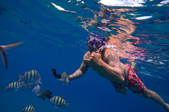 Sailing Catamaran Excursion - Inclusions and Amenities
