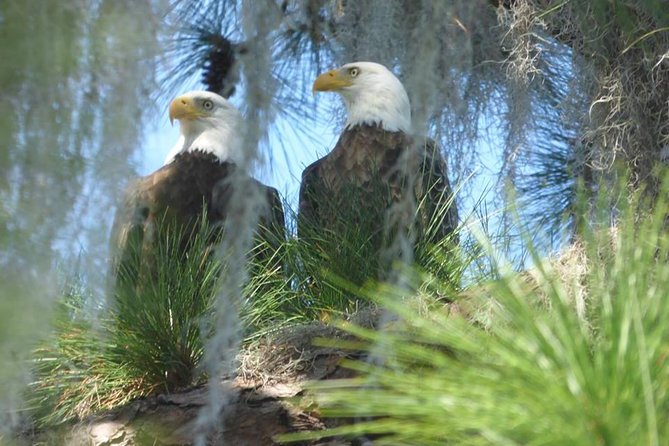 Saint Petersburg Preserve Bike Tour - Recommendations and Requirements