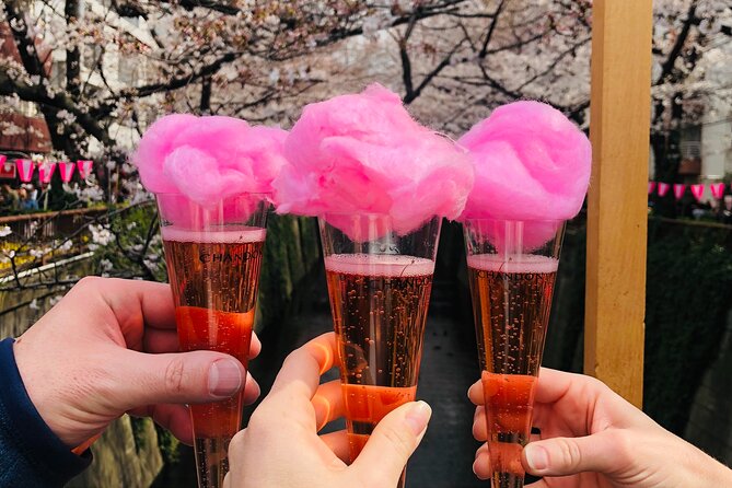 Sake Tasting and More Along the Nakameguro River - Discovering Sake Varieties