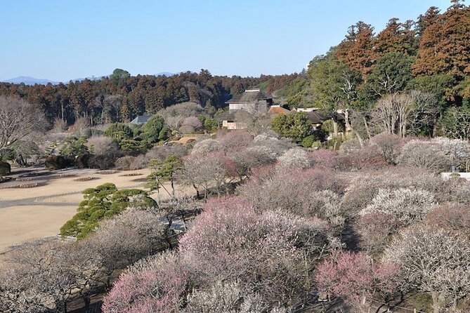 Samurai Private Tour With Umeshu Tasting in Mito - Frequently Asked Questions