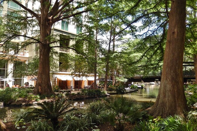 San Antonio Scavenger Hunt Walking Tour Review - Feedback and Recommendations