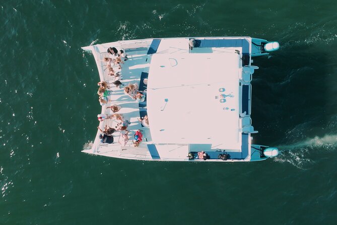 San Diego Harbor Cruise Review: Experience the Bay - Customer Reviews and Feedback