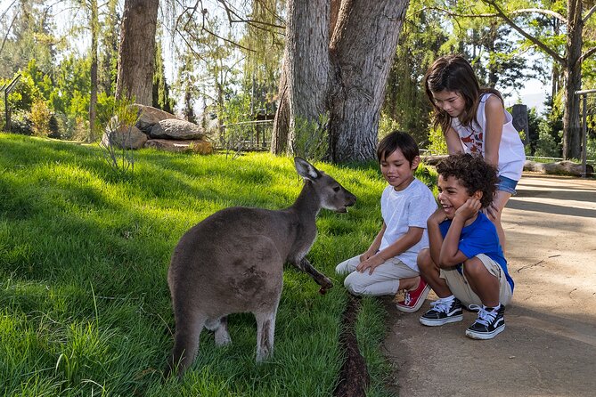 San Diego Zoo Safari Park 1-Day Pass: Any Day Ticket - Booking and Additional Information